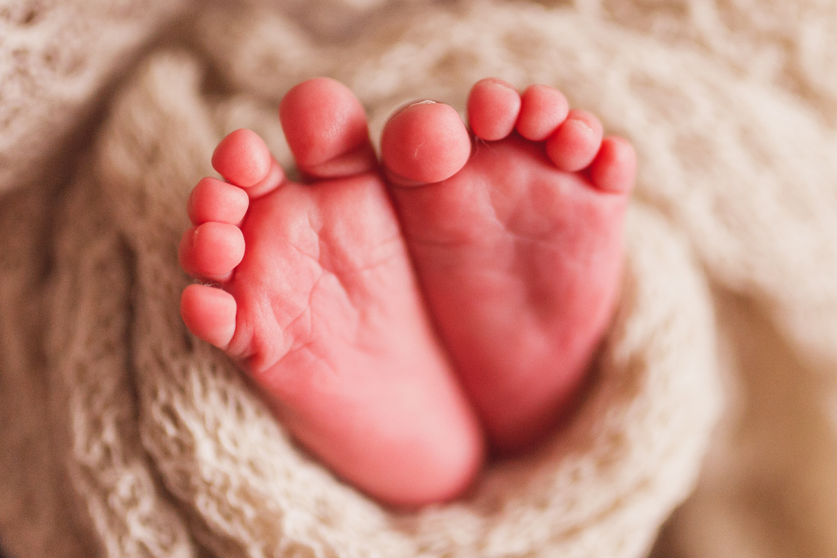 fotografa familia curitiba - newborn menino estudio 