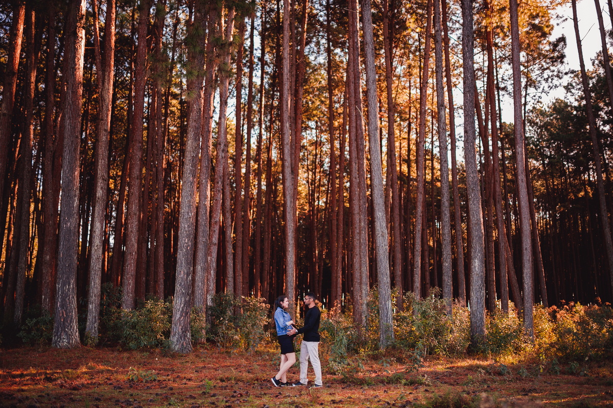 Fotografa familia Curitiba - lifestyle ensaio externo gestante bebe menino casal