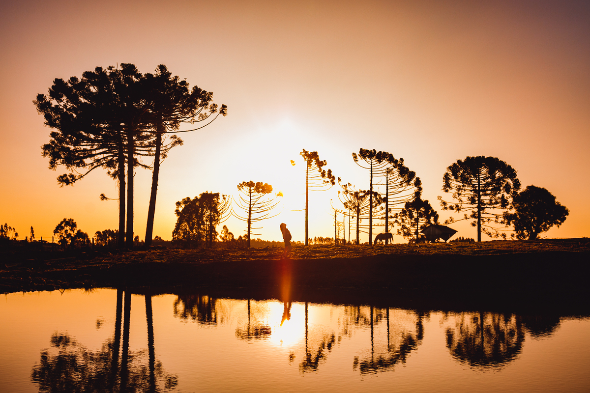 Fotografa familia Curitiba - lifestyle ensaio externo gestante bebe menino casal