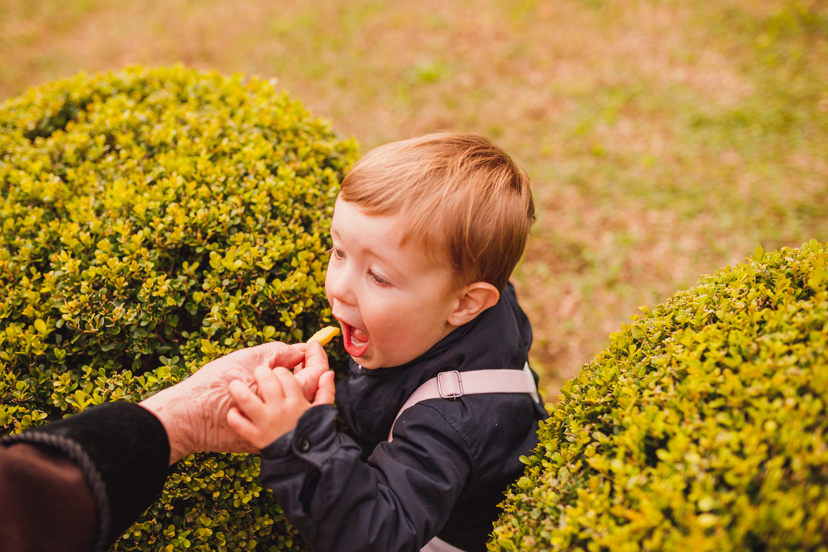 Fotografa família Curitiba -  aniversário menino mundo bita 