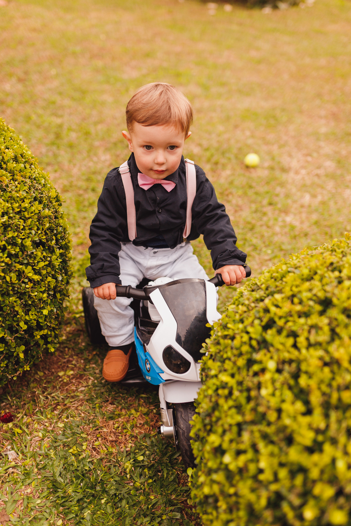 Fotografa família Curitiba -  aniversário menino mundo bita 