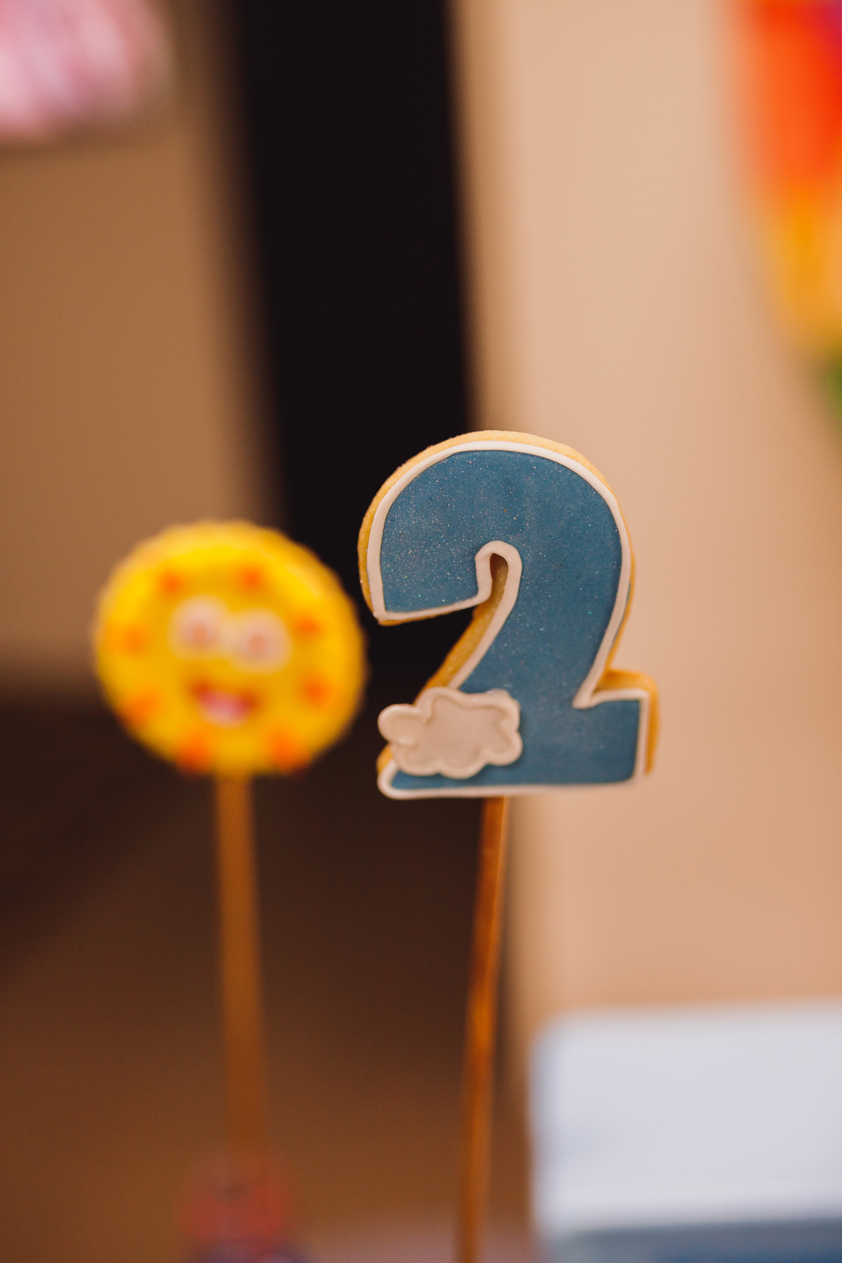 Fotografa família Curitiba -  aniversário menino mundo bita 