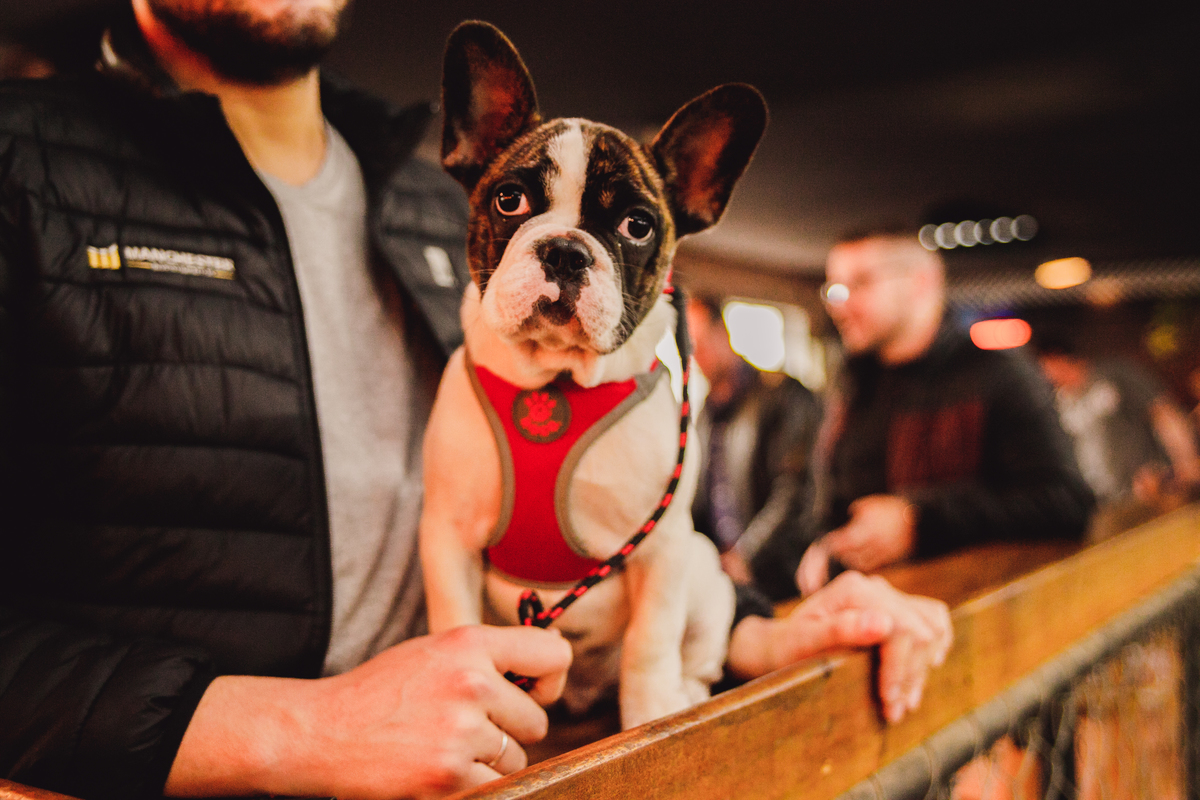 Fotografa familia Curitiba - Skate Park Aniversário menino 