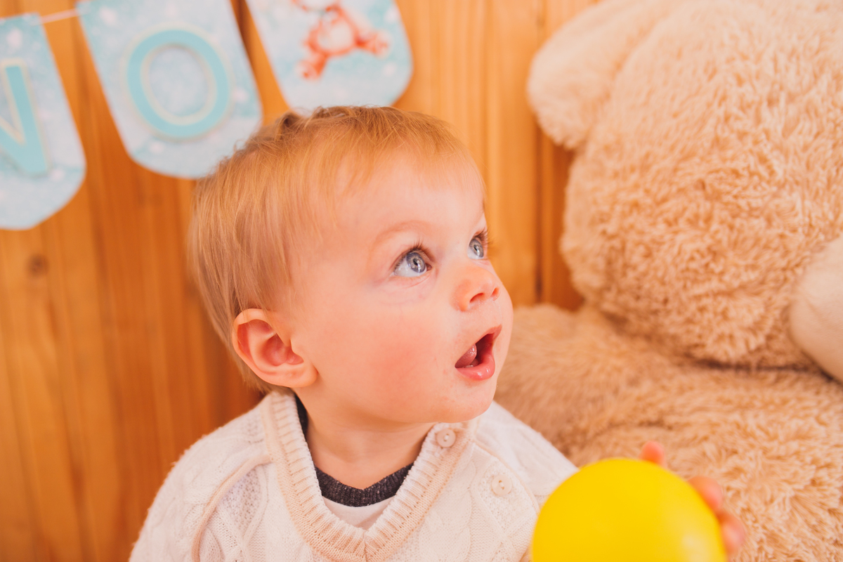 Fotografa familia Curitiba - aniversario bebe menino salao ursinho 
