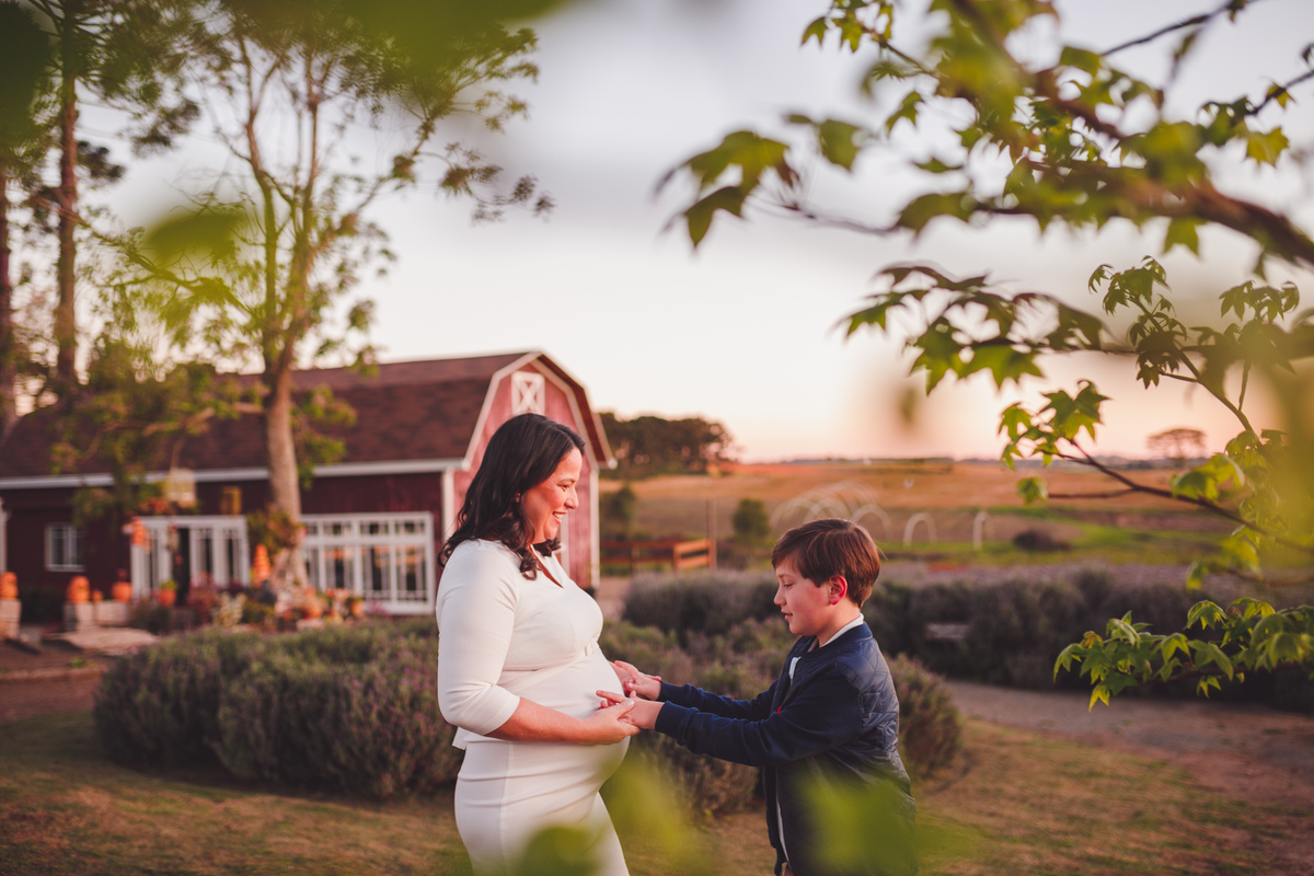 Fotografa familia Curitiba - Ensaio externo gestante Lavandario 