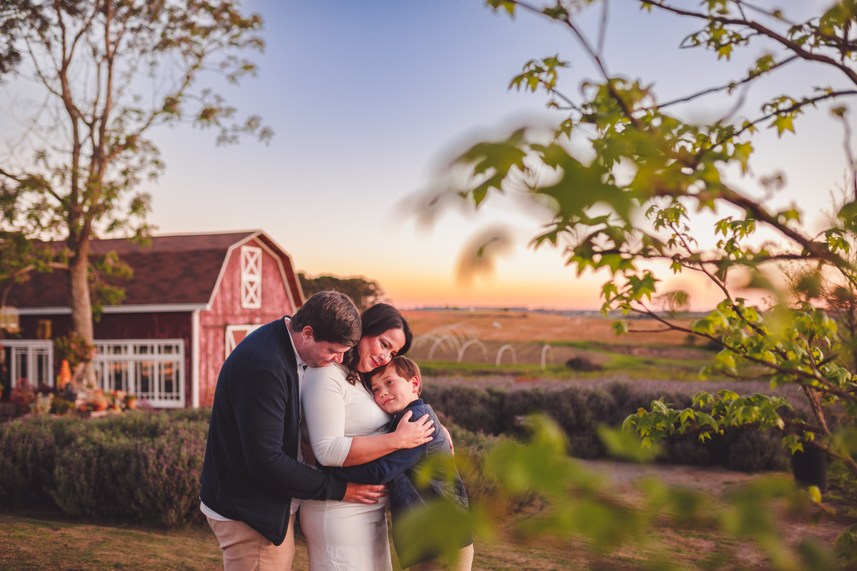 Fotografa familia Curitiba - Ensaio externo gestante Lavandario 