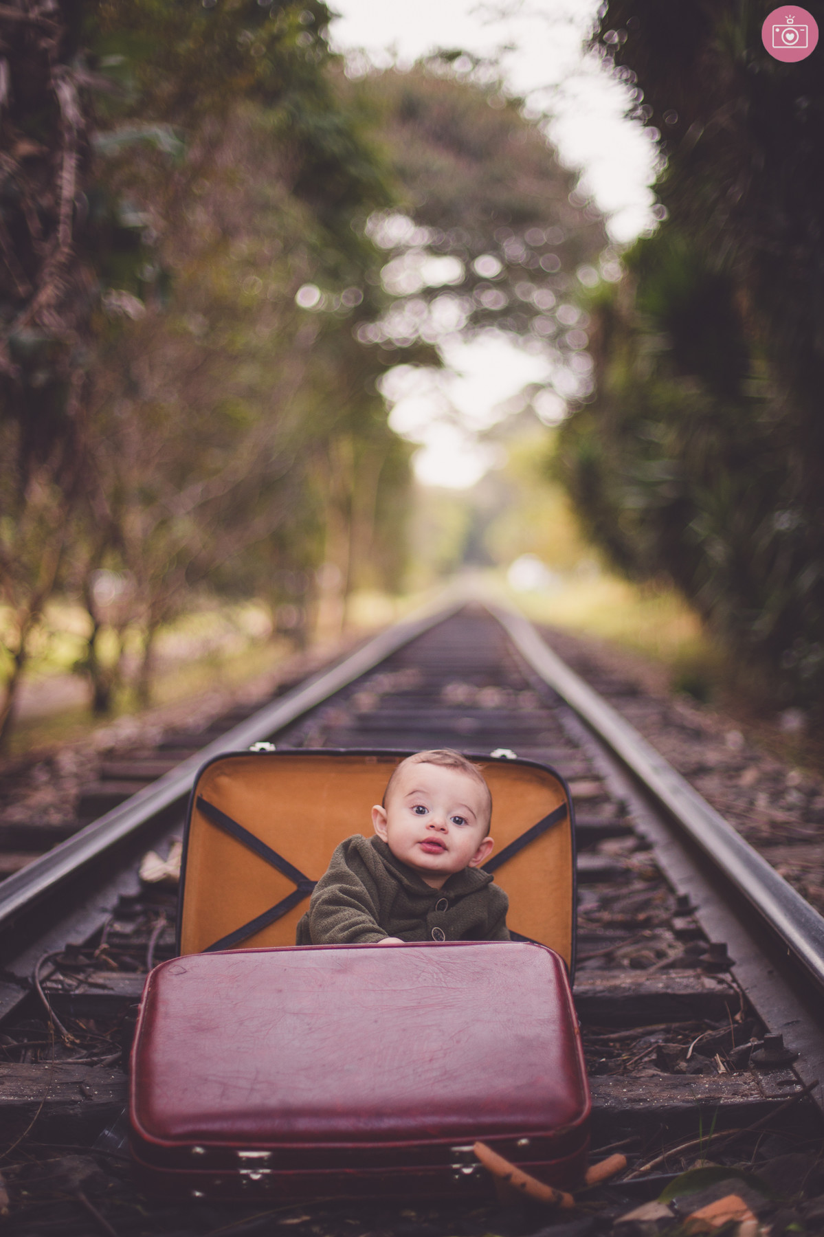 acompanhamento bimestral Vicente 7 Meses