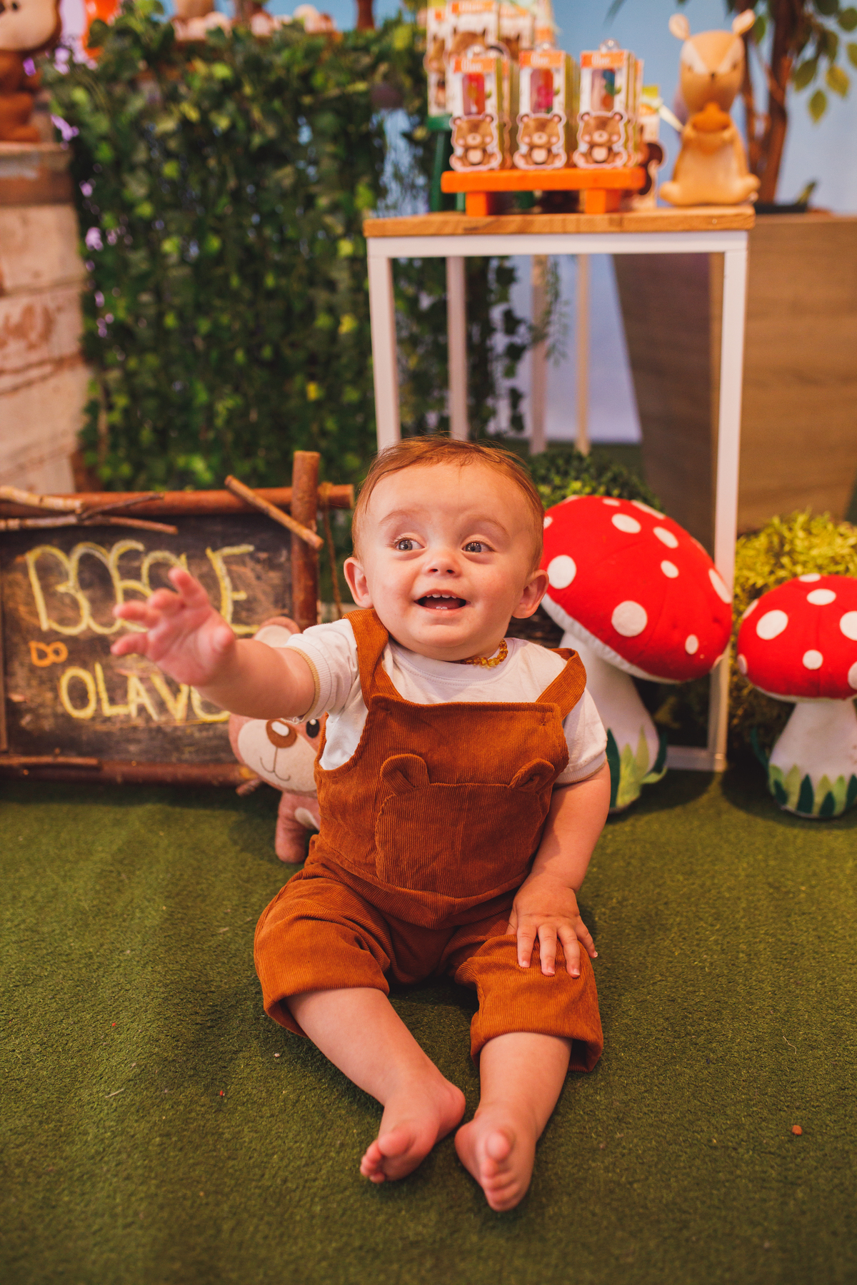 fotografa familia Curitiba - aniversario menino bosque 1 ano