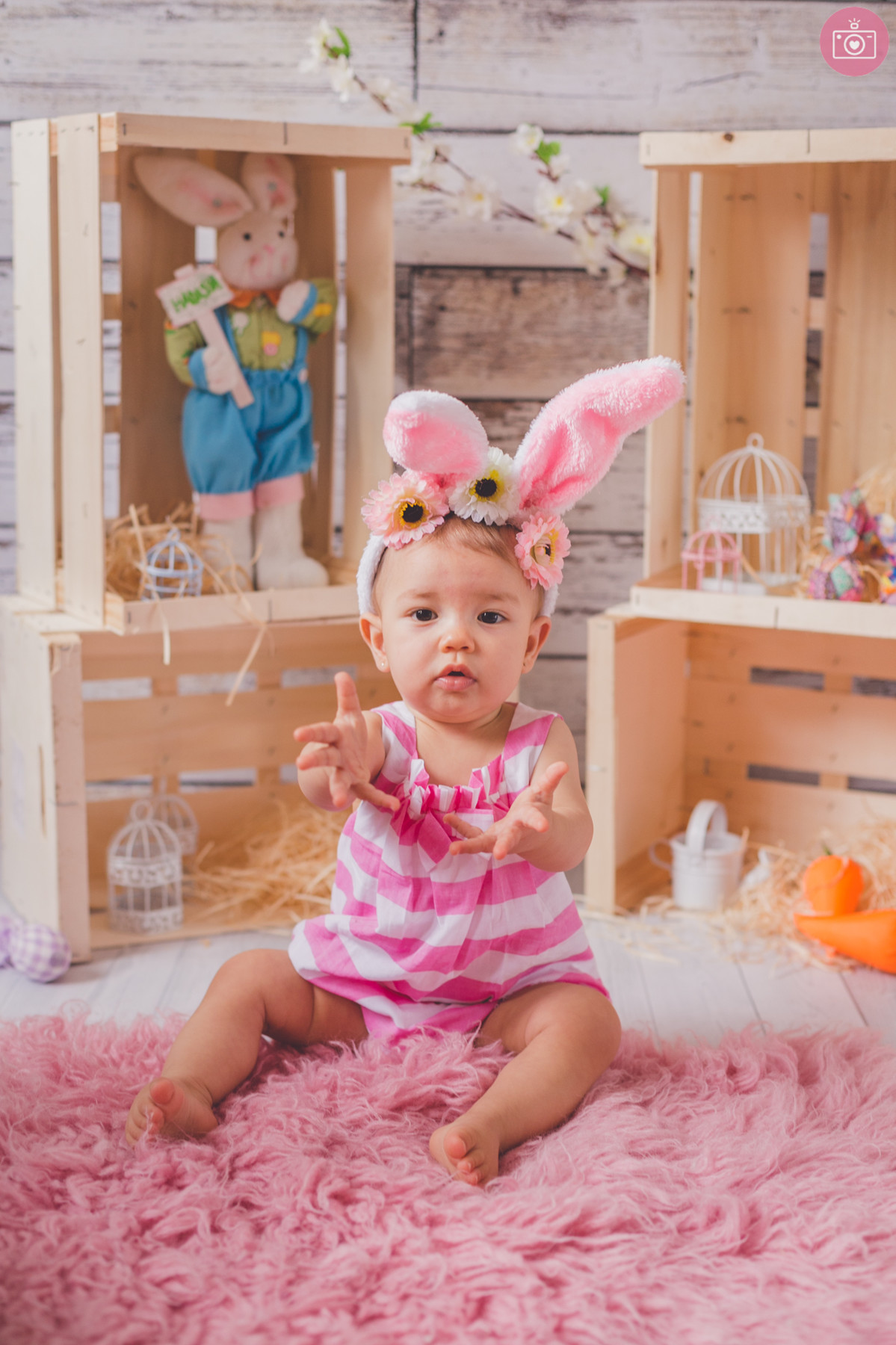 acompanhamento bimestral sophie 9 meses