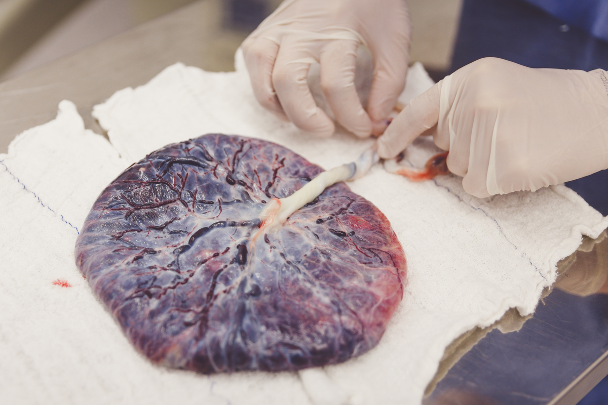 Fotografa familia Curitiba - foto nascimento nossa senhora das graças menino