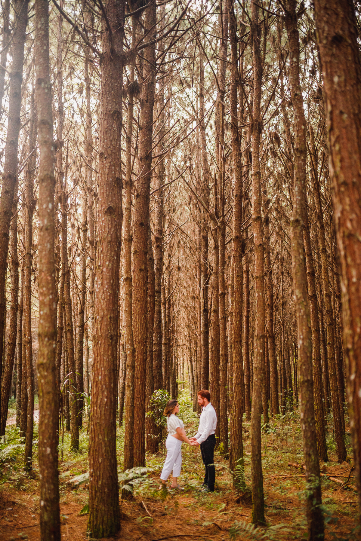 Fotografa Familia Curitiba - Gestante externo campo magro