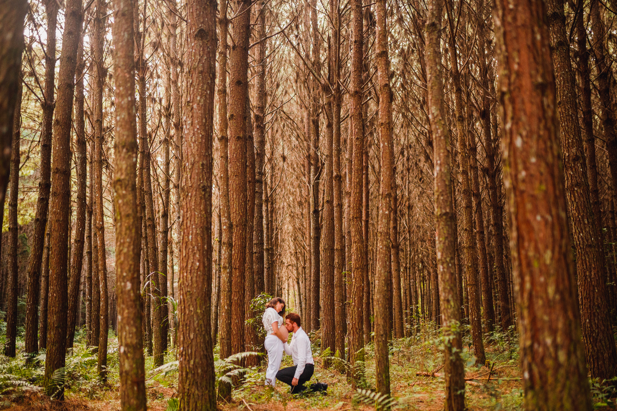 Fotografa Familia Curitiba - Gestante externo campo magro
