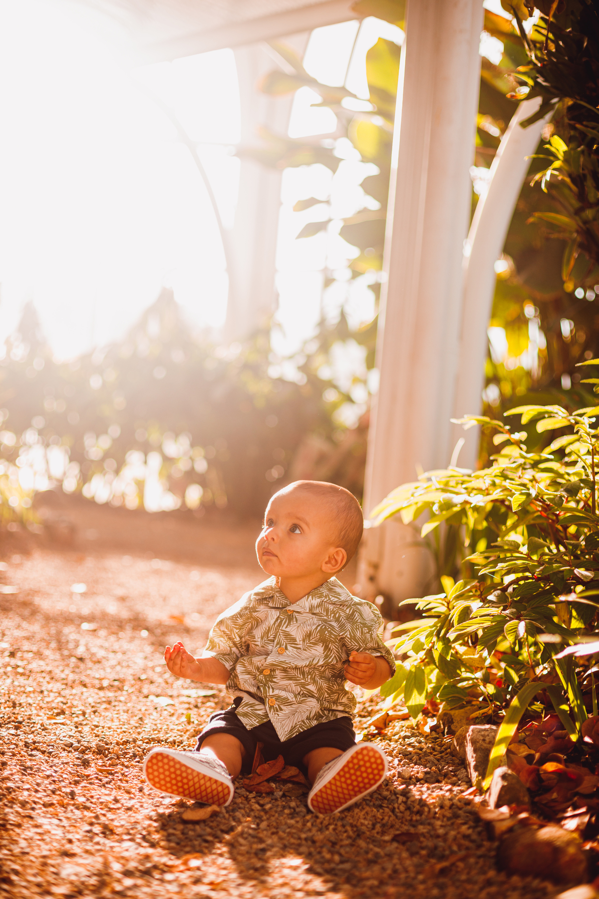 Fotografa Familia Curitiba - ensaio externo bebe menino 1 ano