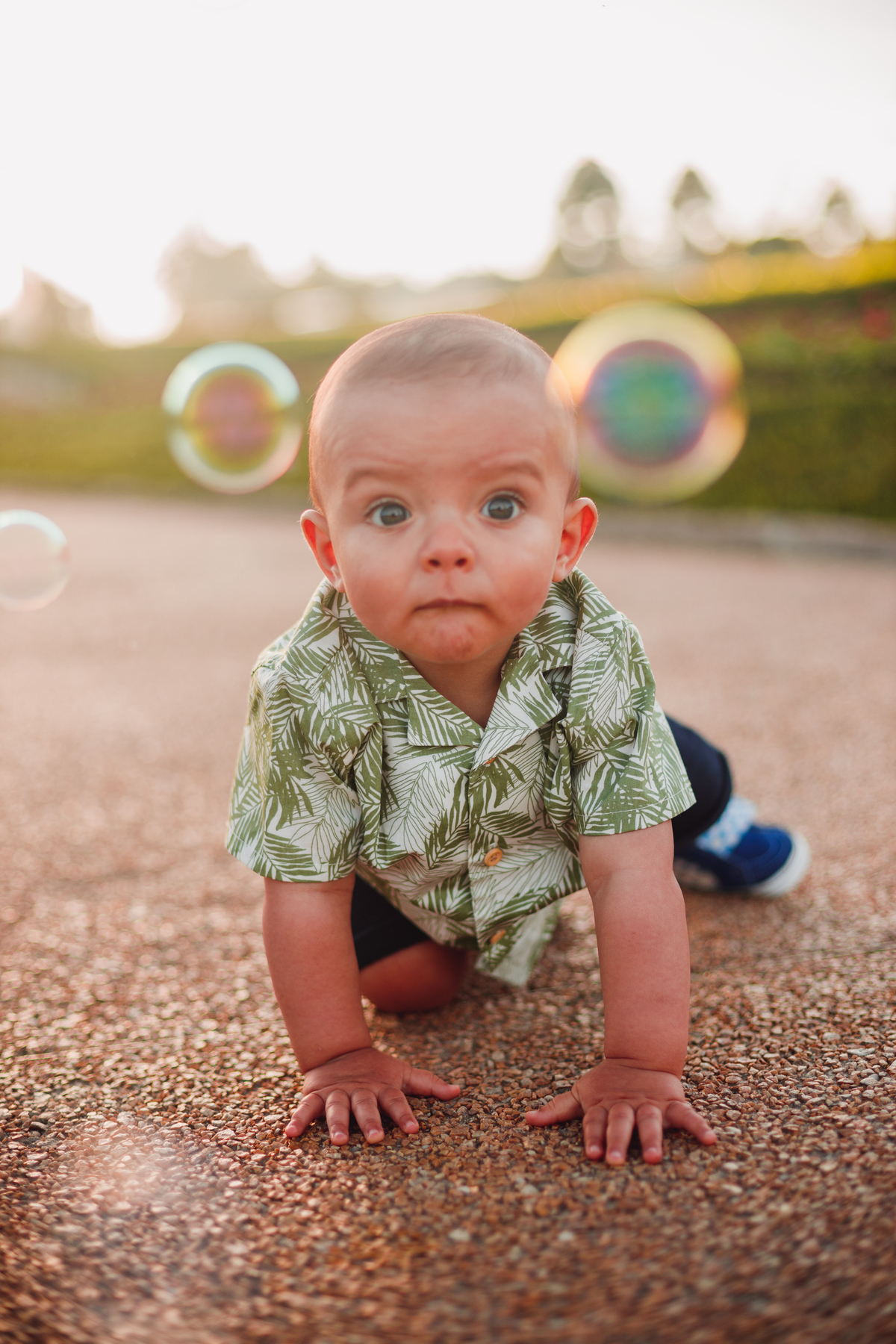 Fotografa Familia Curitiba - ensaio externo bebe menino 1 ano