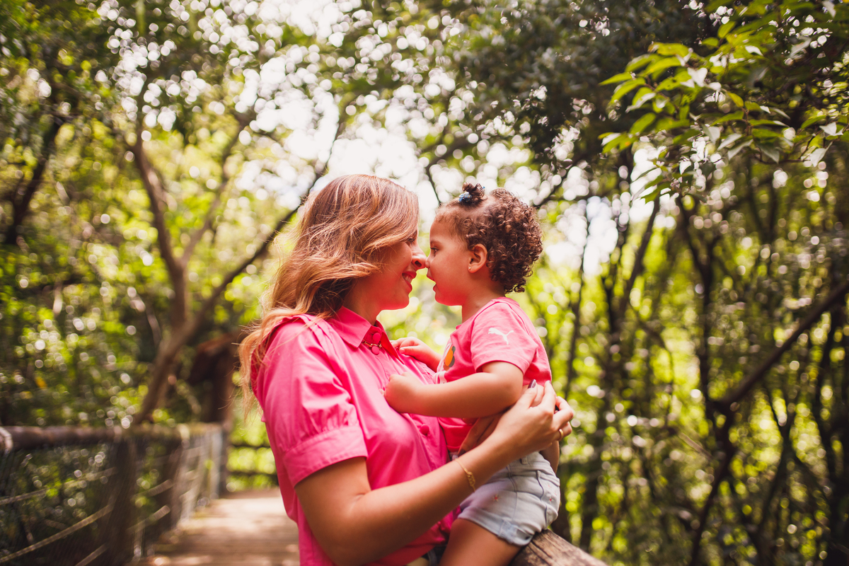 Fotografa familia Curitiba - aniversario 2 anos menina mundo bita