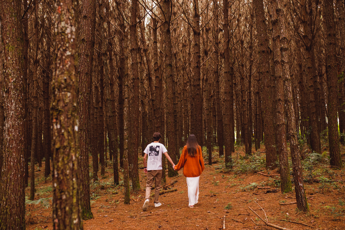 Fotografa familia Curitiba - Gestante externo revelação menina