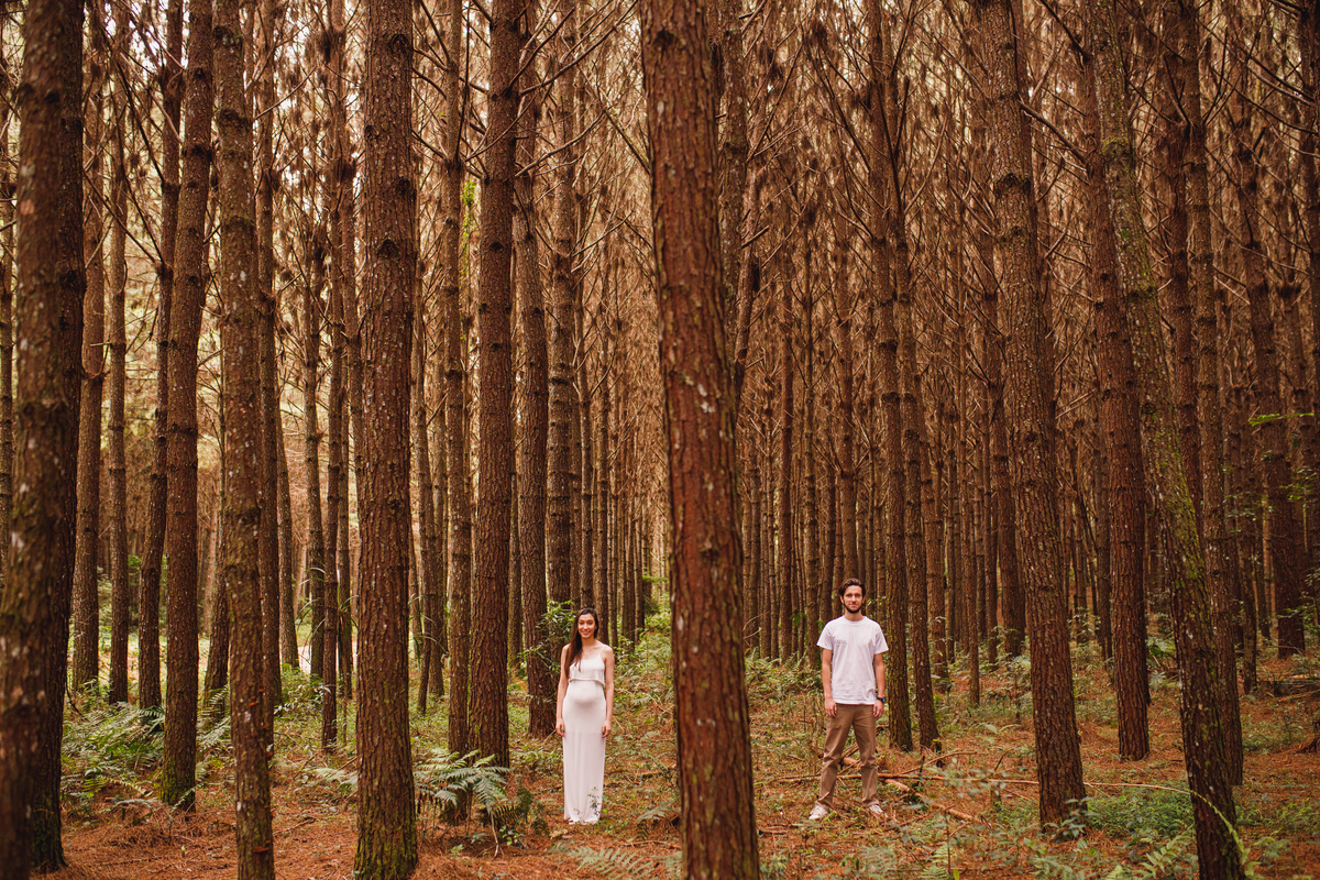 Fotografa familia Curitiba - Gestante externo revelação meninaFotografa familia Curitiba - Gestante externo revelação menina