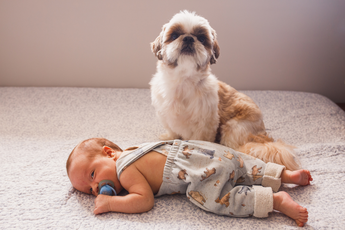 Fotografa Familia Curitiba - Ensaio lifestyle menino 1 mes 