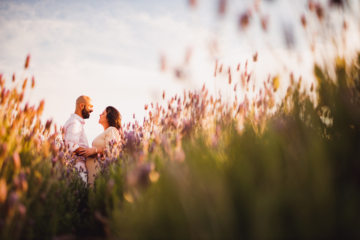 Fotografa familia Curitiba - Gestante externo Lavandario carambei