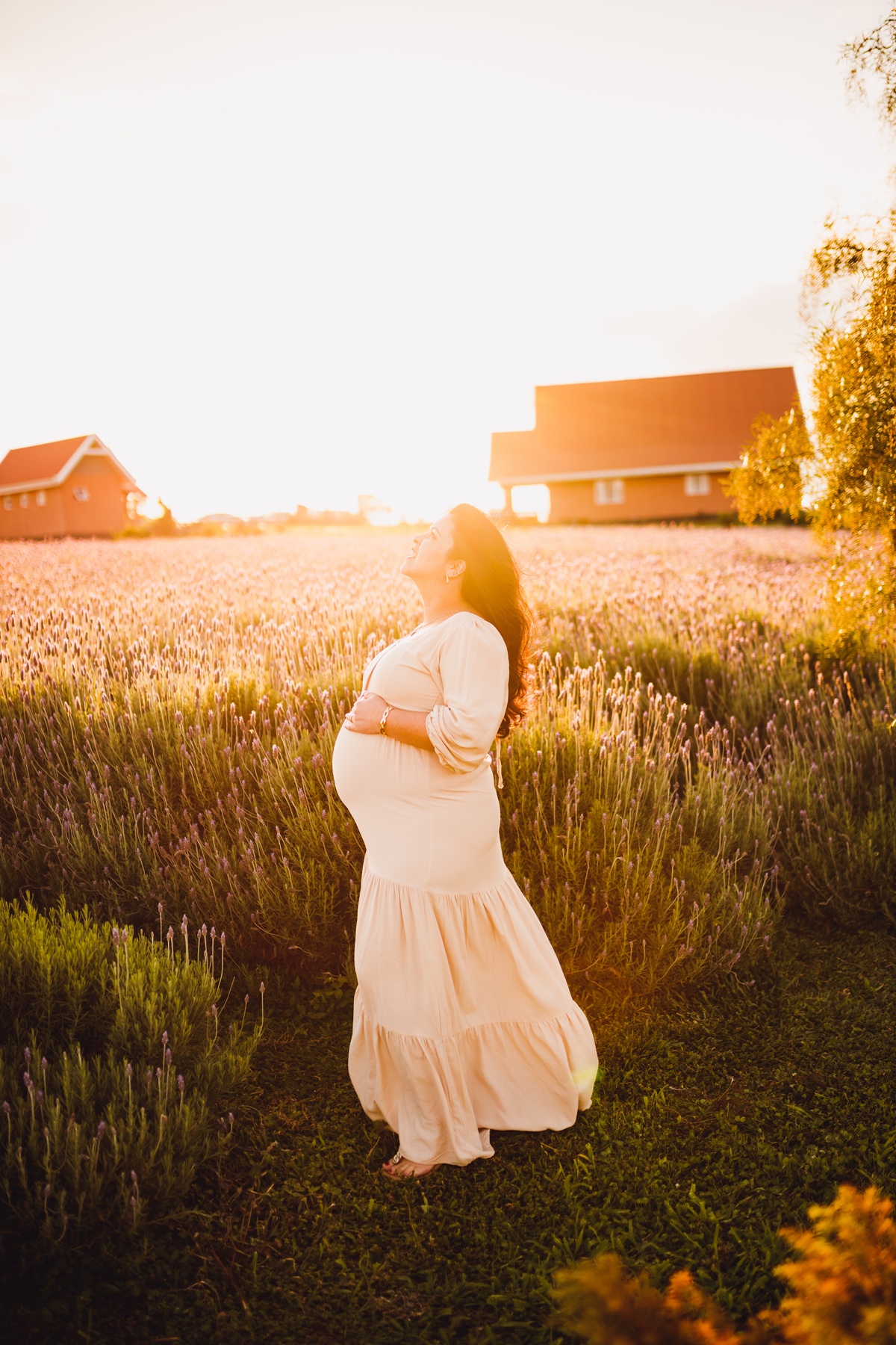 Fotografa familia Curitiba - Gestante externo Lavandario carambei