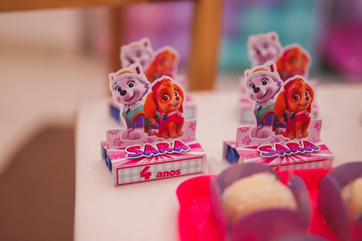 Fotografa familia Curitiba - Aniversário menina 4 anos buffet play house