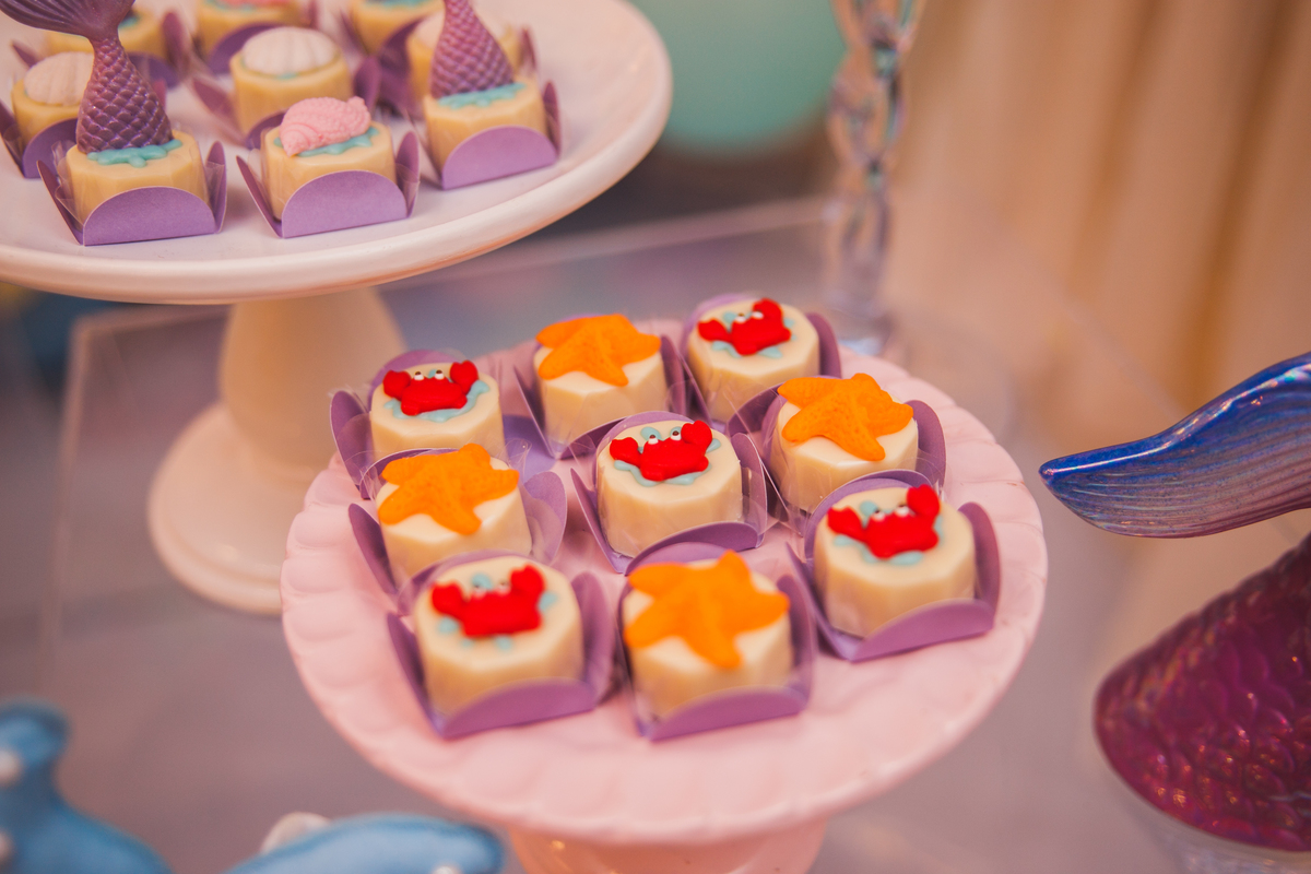 Fotografa familia Curitiba - Buffet Fina Festas menina 6 anos princesa Ariel