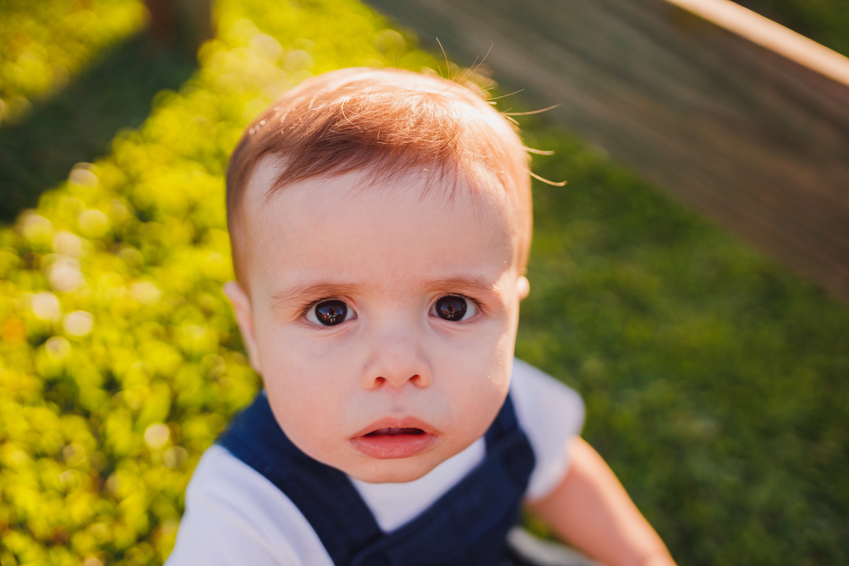 Fotografa Família Curitiba - ensaio externo witmarzoo menino