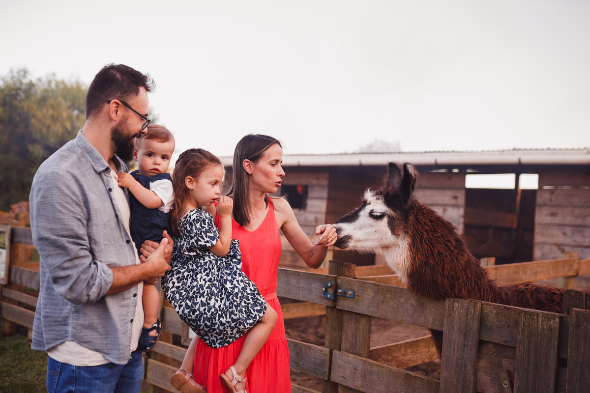 Fotografa Família Curitiba - ensaio externo witmarzoo menino