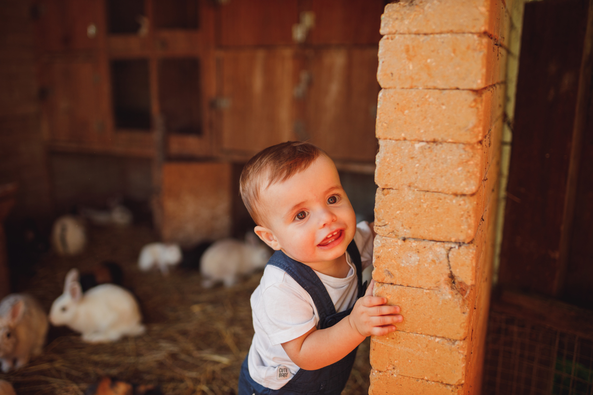 Fotografa Família Curitiba - ensaio externo witmarzoo menino