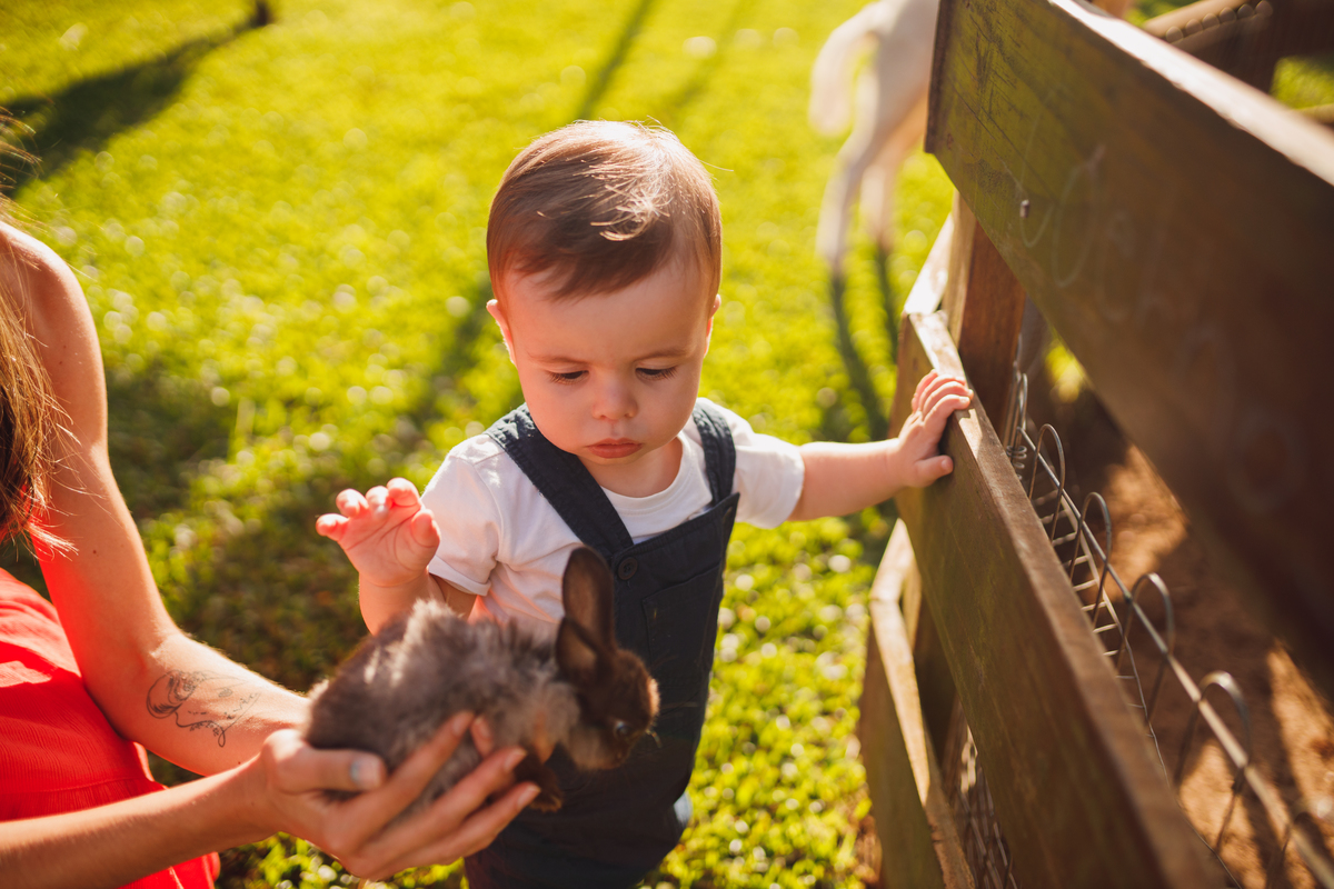 Fotografa Família Curitiba - ensaio externo witmarzoo menino