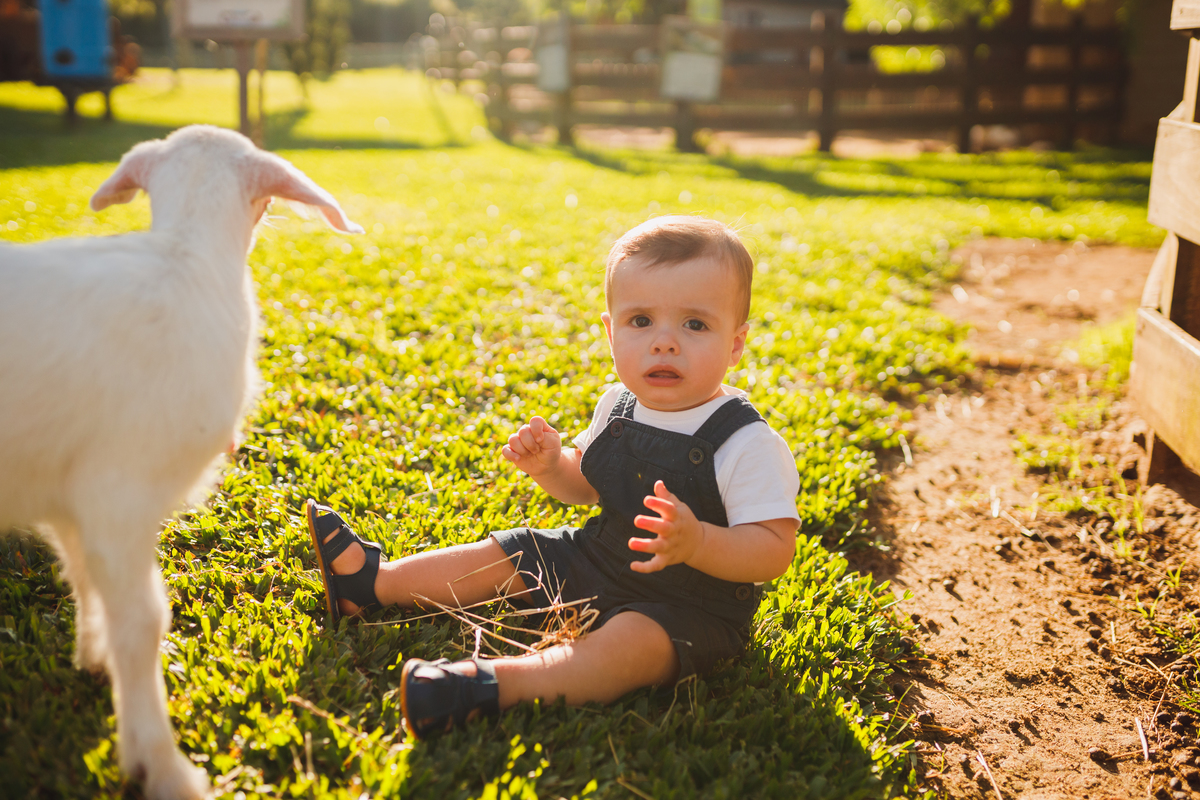 Fotografa Família Curitiba - ensaio externo witmarzoo menino