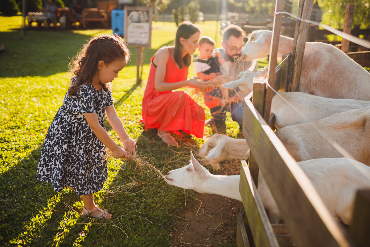 Fotografa Família Curitiba - ensaio externo witmarzoo menino