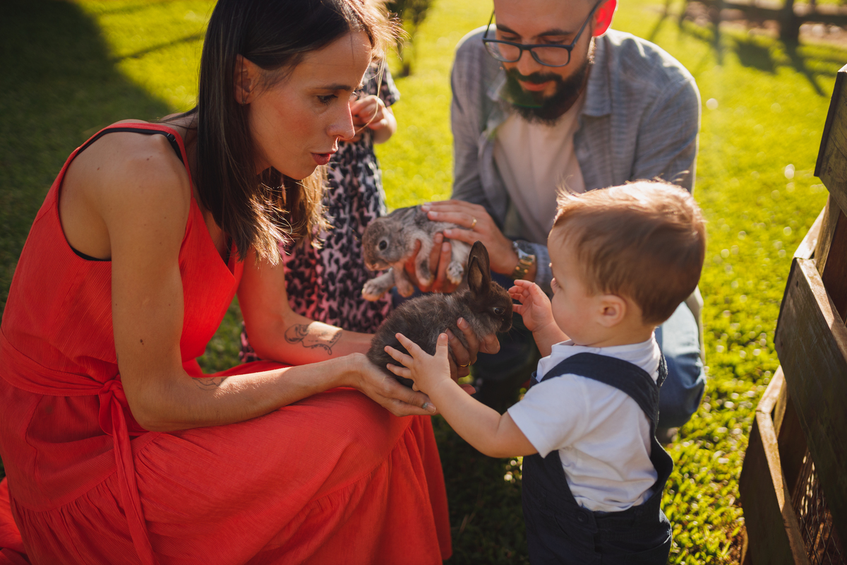 Fotografa Família Curitiba - ensaio externo witmarzoo menino