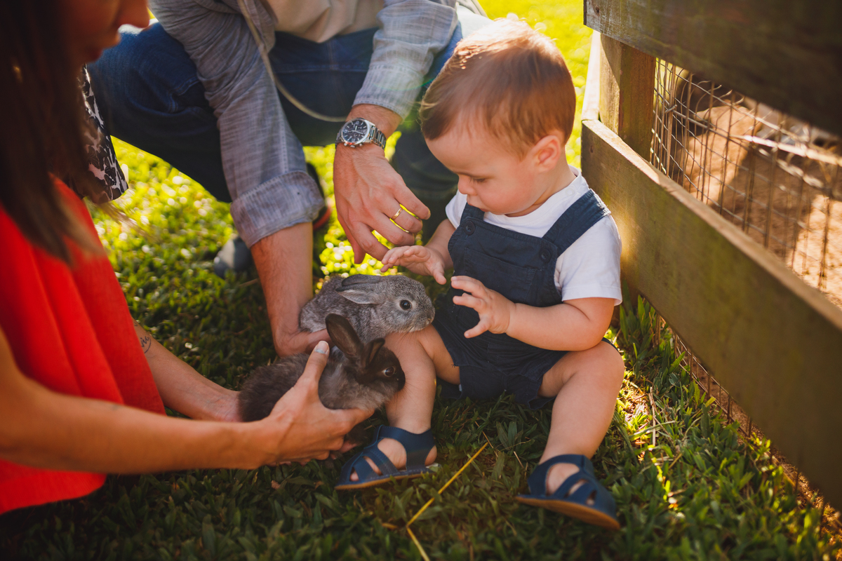 Fotografa Família Curitiba - ensaio externo witmarzoo menino