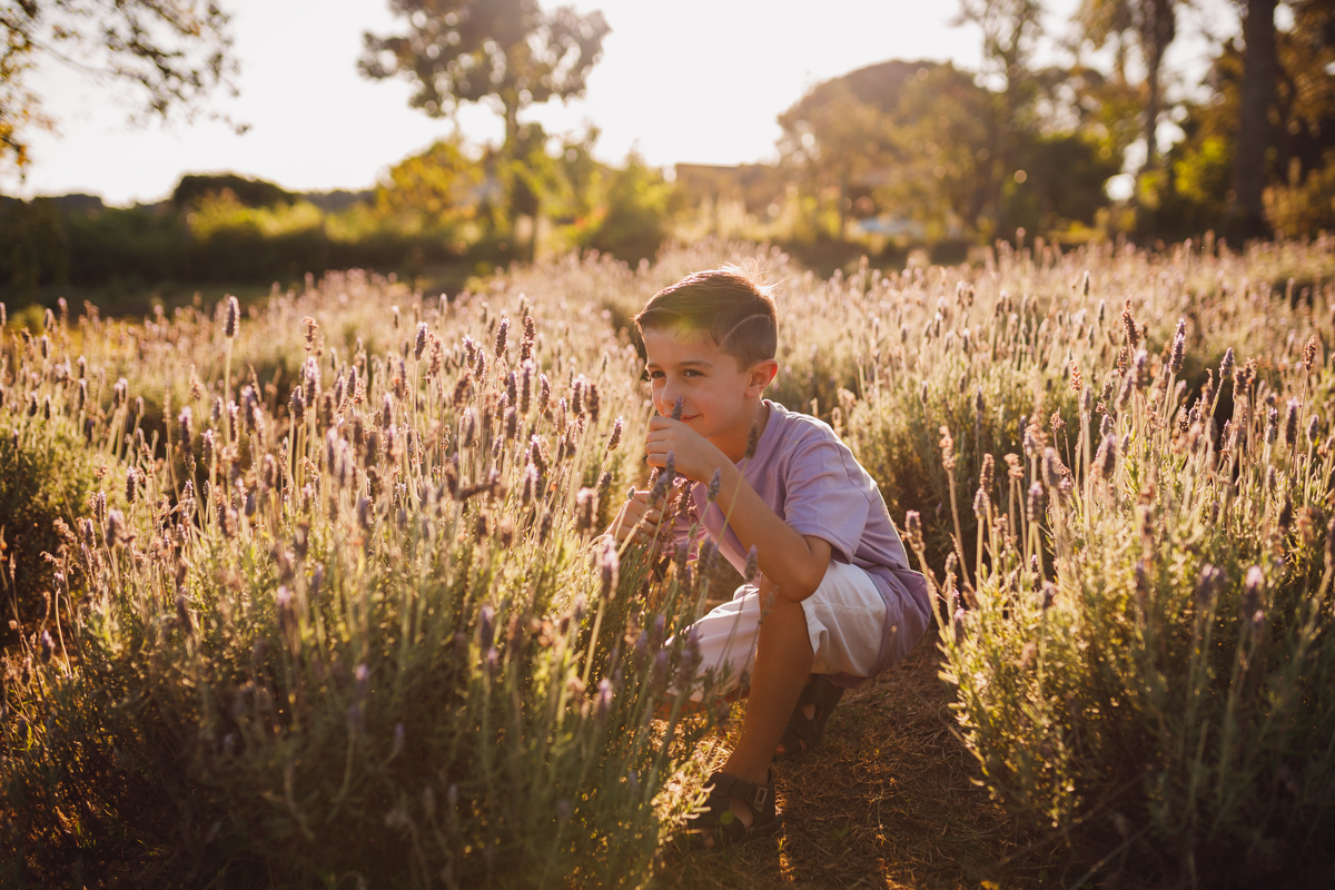 Fotografa familia Curitiba - Gestante externo Lavandario