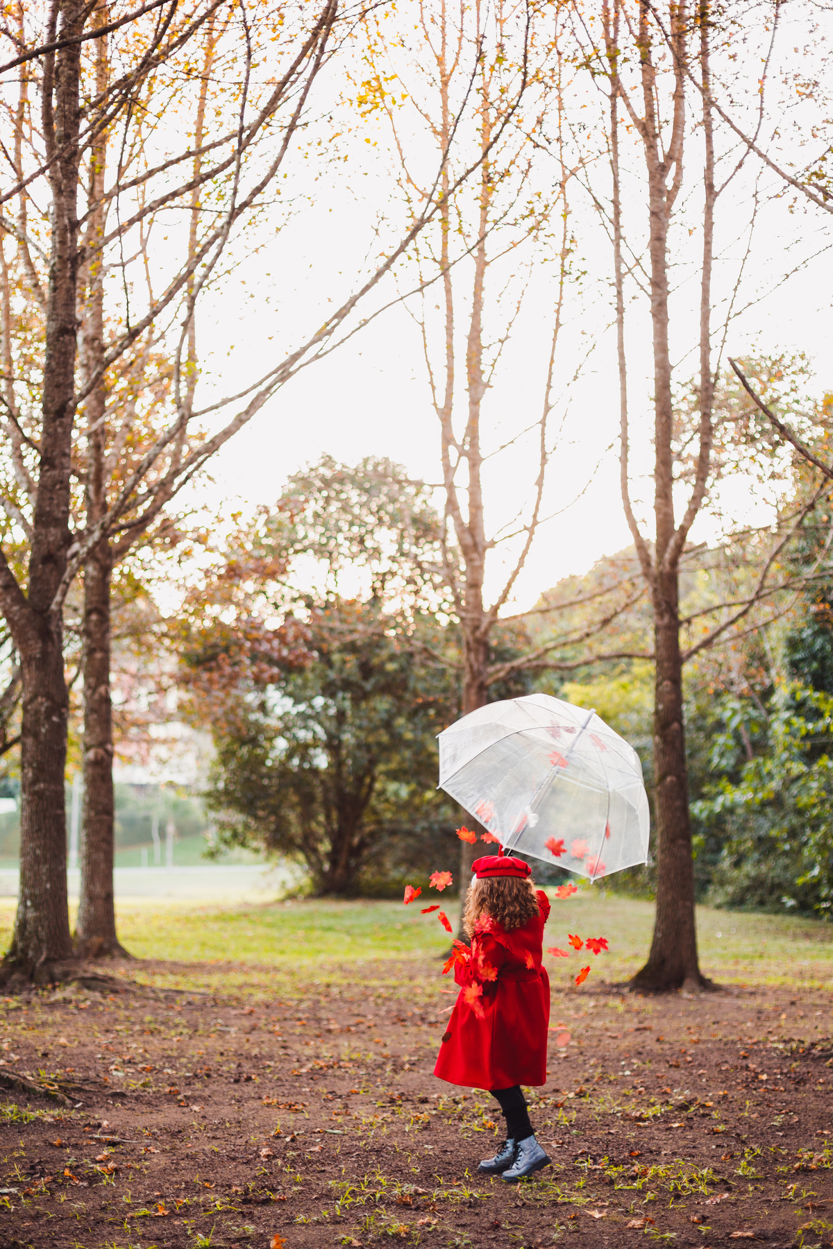 Fotografa familia Curitiba - Ensaio externo outono bosque tingui