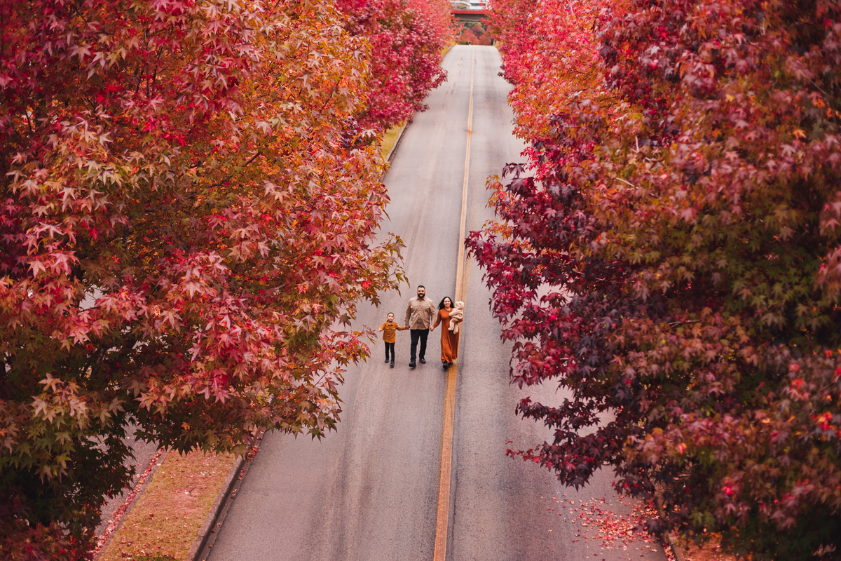 Fotografa familia Curitiba - Ensaio de outono externo canaleta