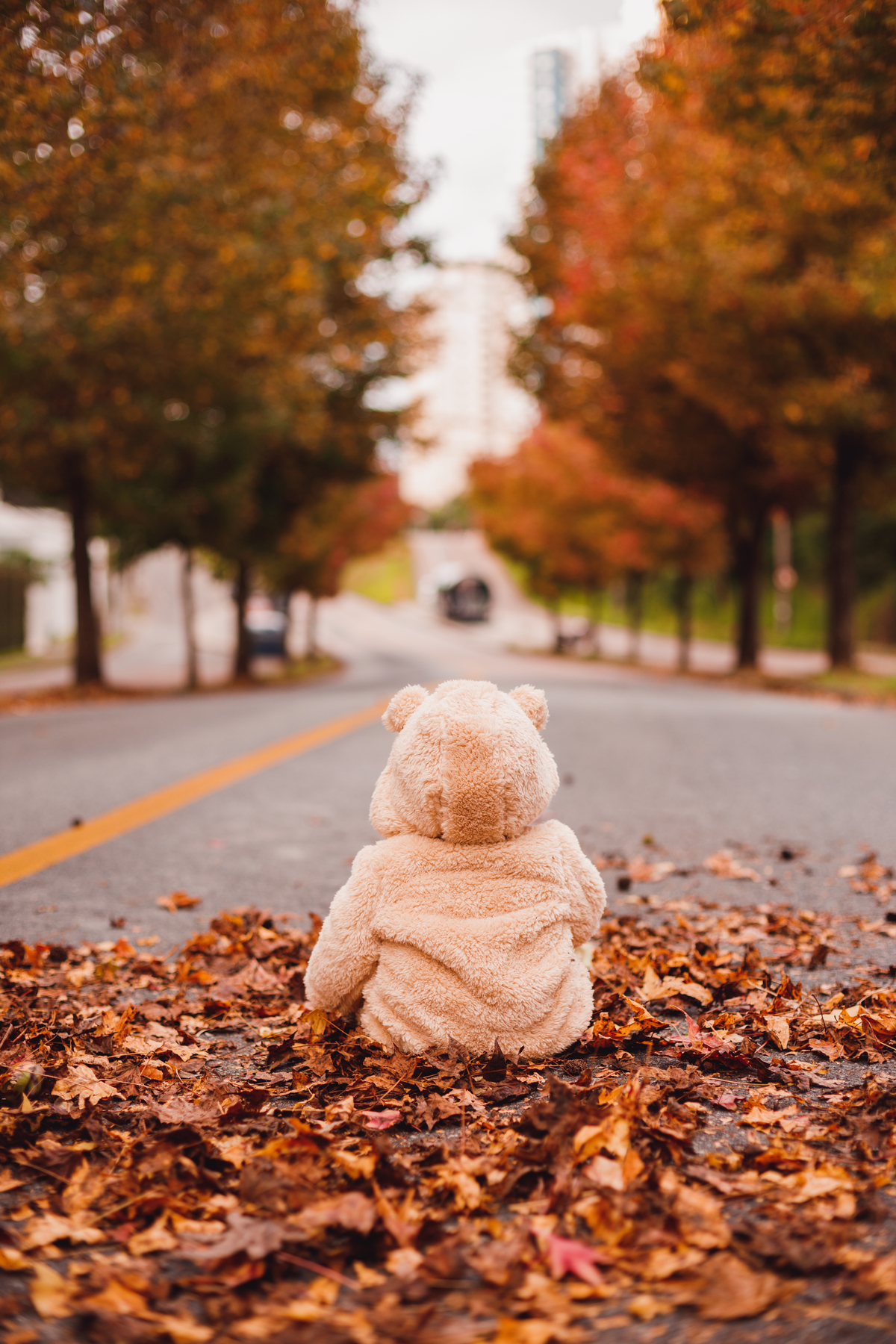 Fotografa familia Curitiba - Ensaio de outono externo canaleta