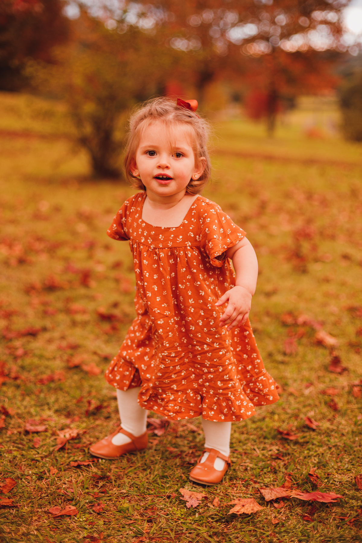 Fotografa familia Curitiba - Outono bosque tingui