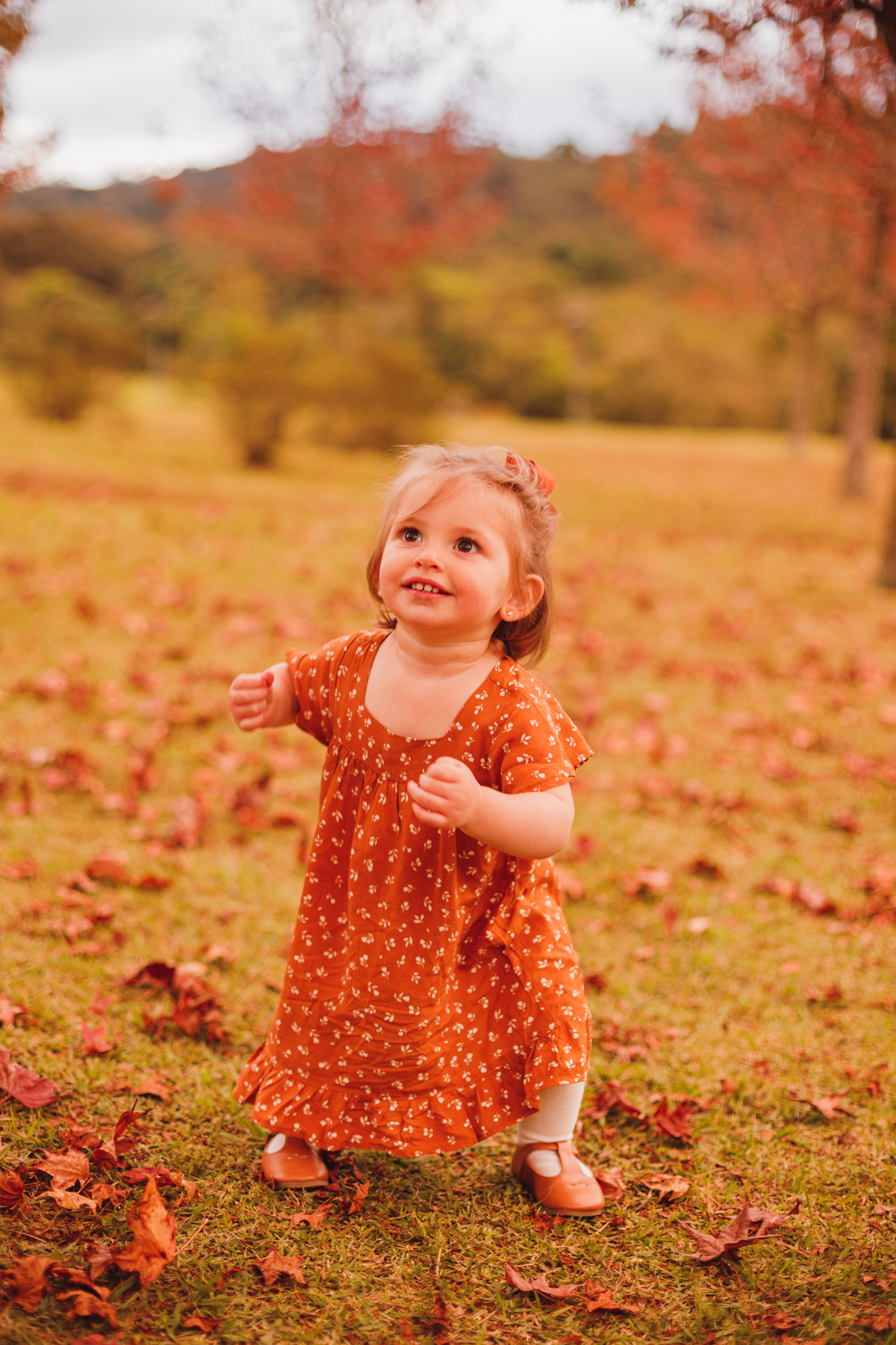 Fotografa familia Curitiba - Outono bosque tingui