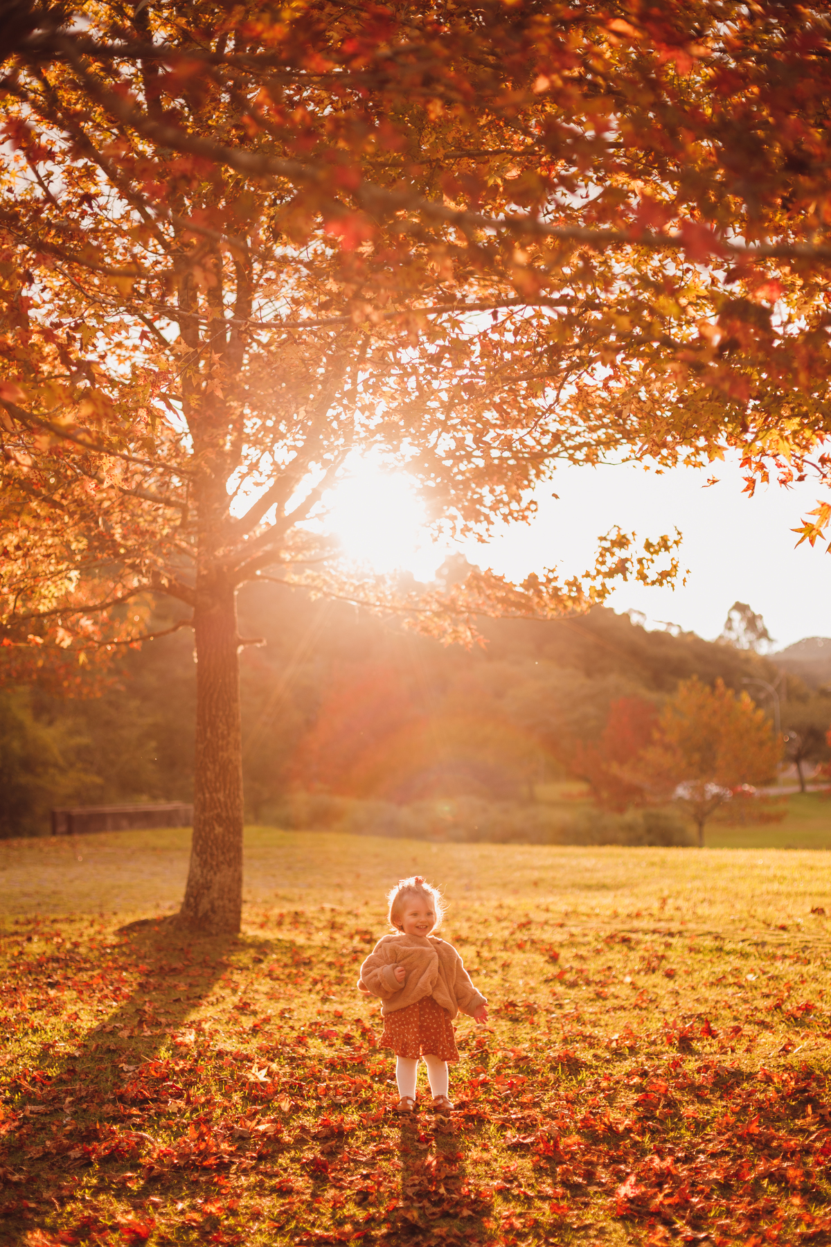 Fotografa familia Curitiba - Outono bosque tingui