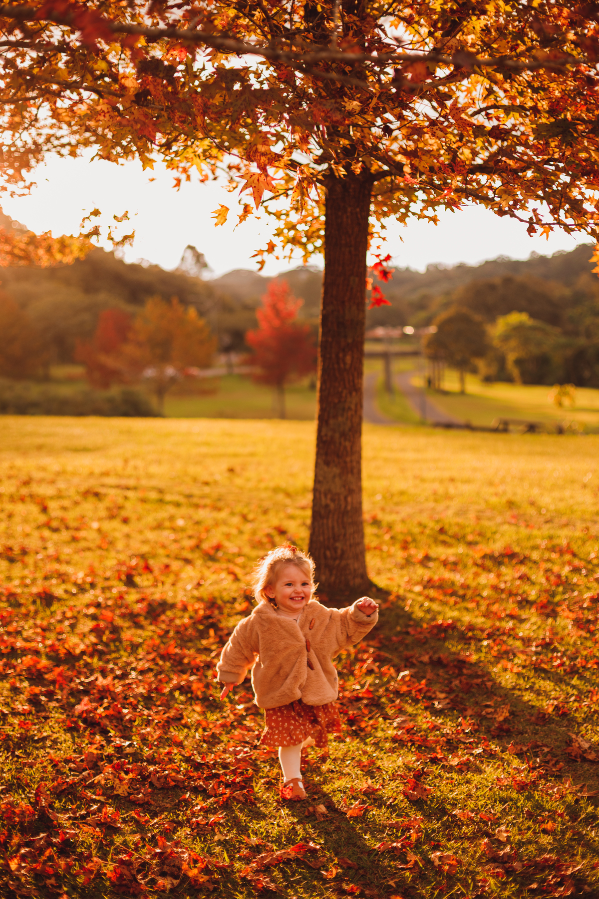 Fotografa familia Curitiba - Outono bosque tingui
