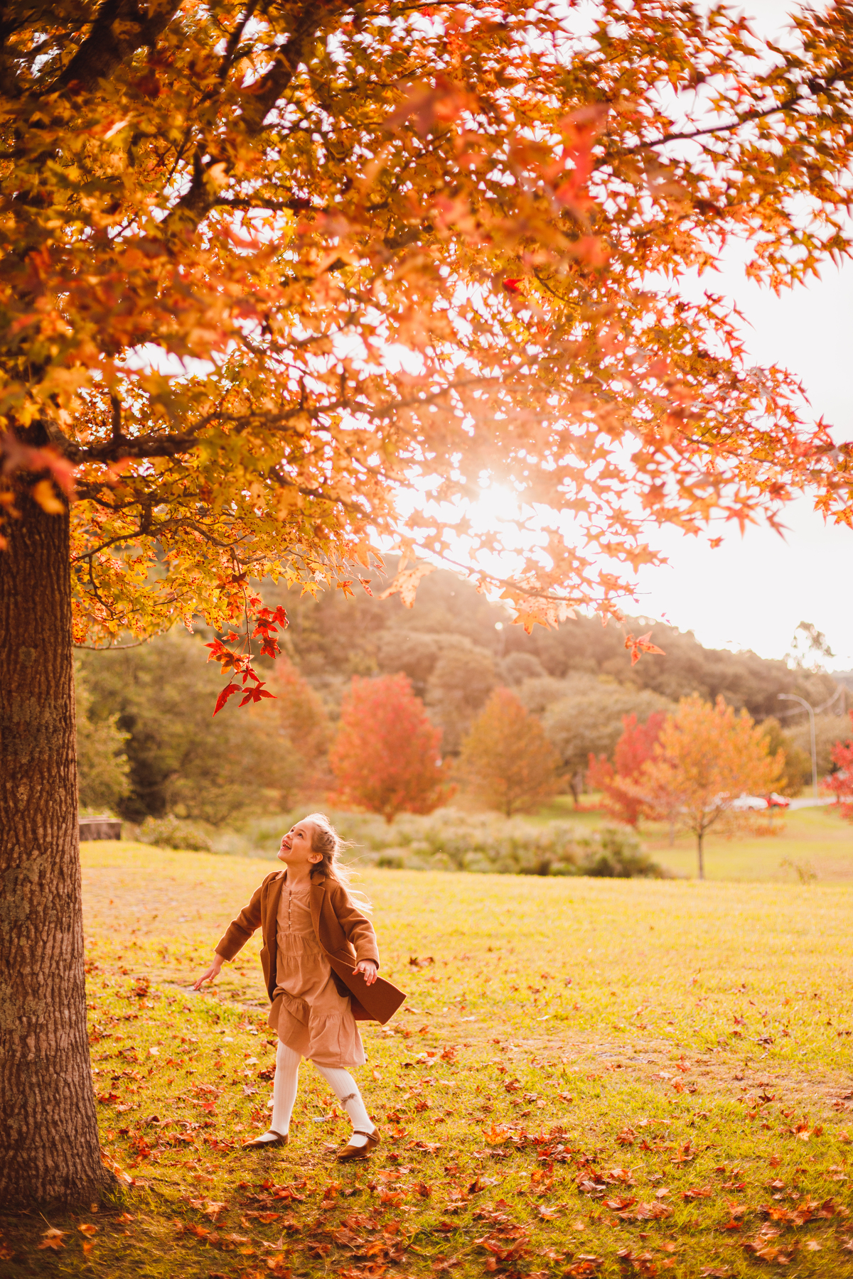 Fotografa familia Curitiba - Outono bosque tingui