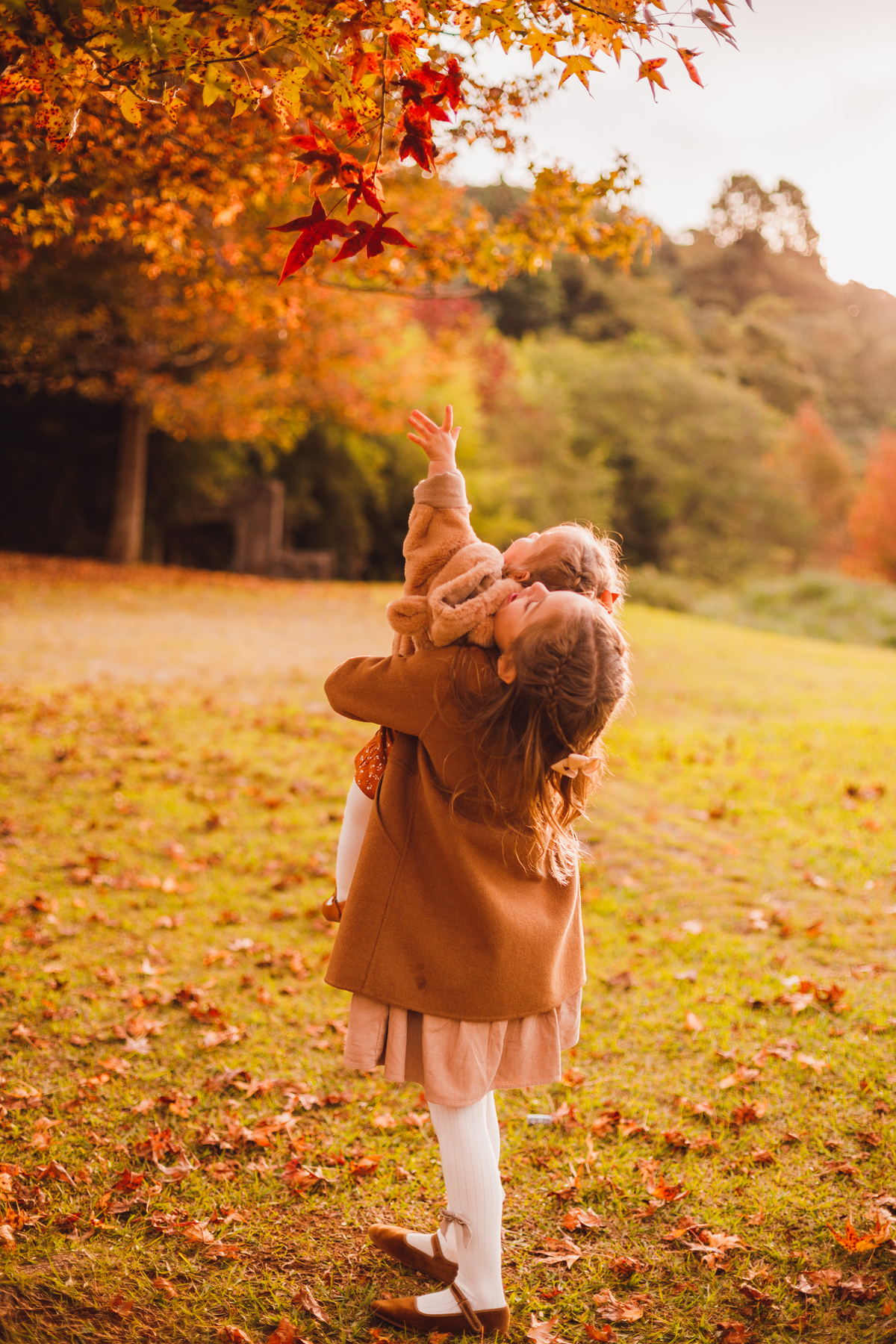 Fotografa familia Curitiba - Outono bosque tingui