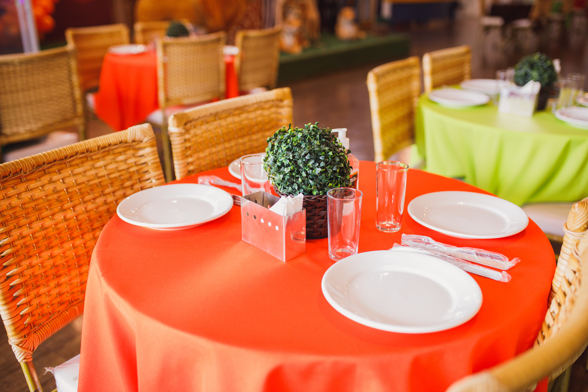 Fotografa familia Curitiba - Aniversário 4 anos e 1 ano safari