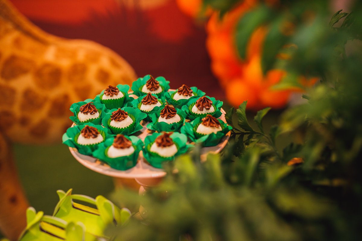 Fotografa familia Curitiba - Aniversário 4 anos e 1 ano safari