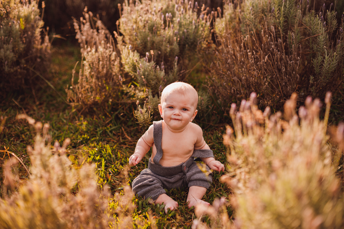 Fotografa familia Curitiba - Ensaio externo Lavandario vila lavanda 6 meses