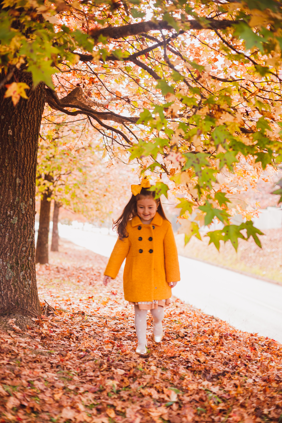 Fotografa familia Curitiba - ensaio externo caneleta campo comprido