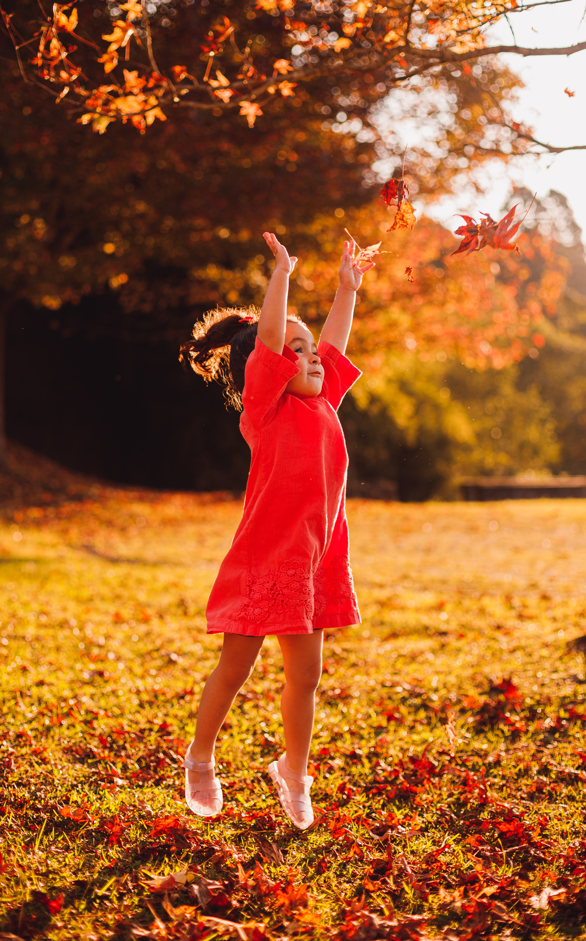 Fotografa familia Curitiba - ensaio outono familia 