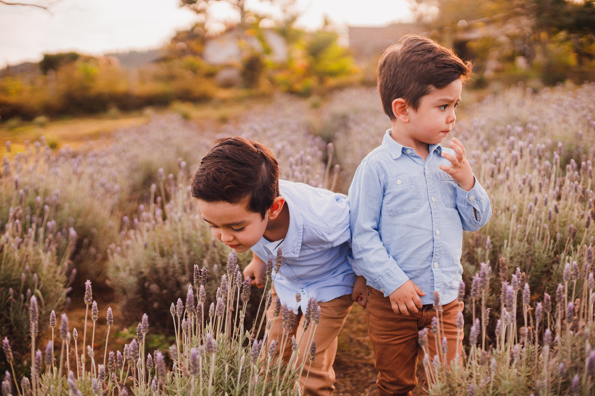 Fotografa familia Curitiba - ensaio externo Lavandário familia